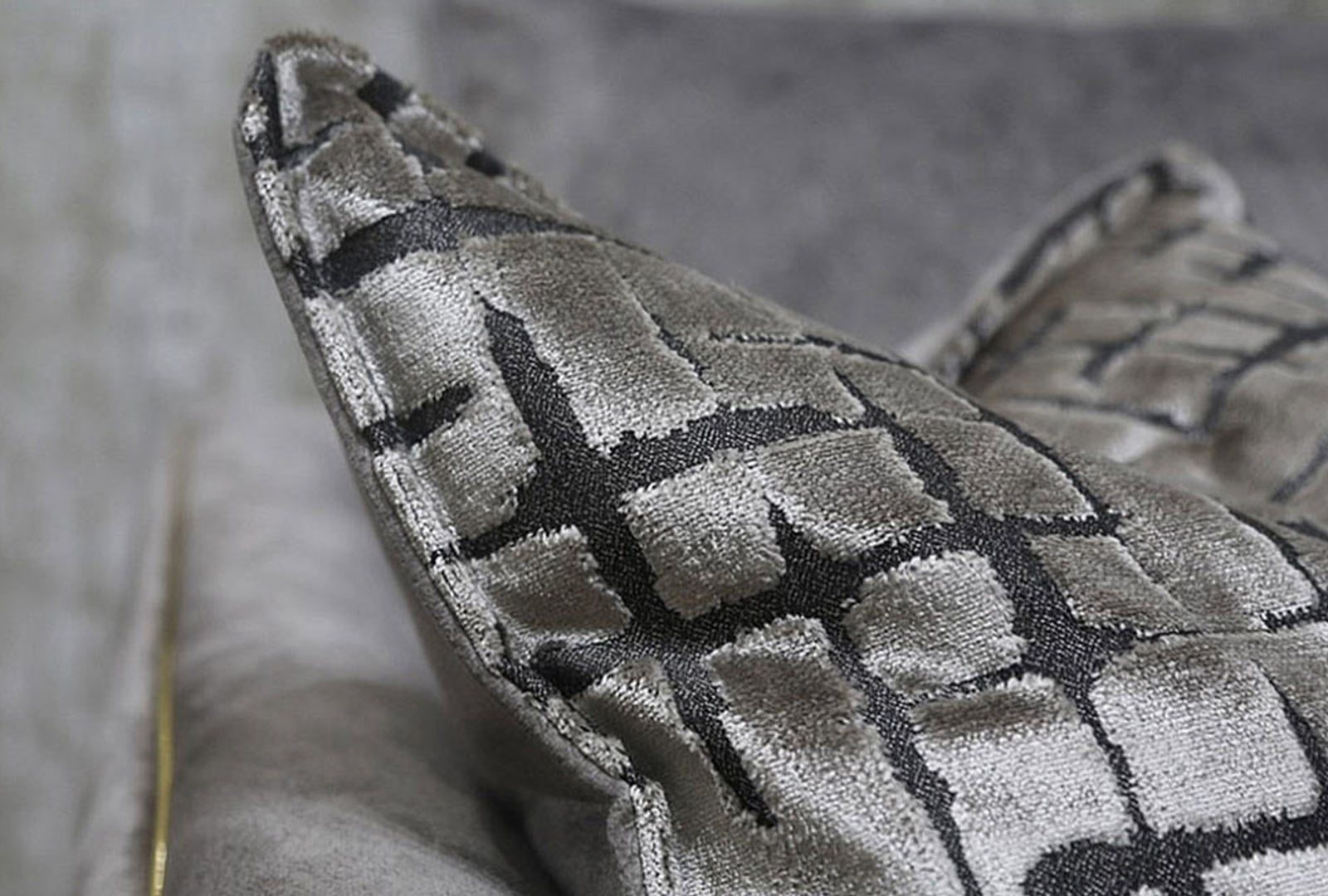 Bella Close Up Scatter