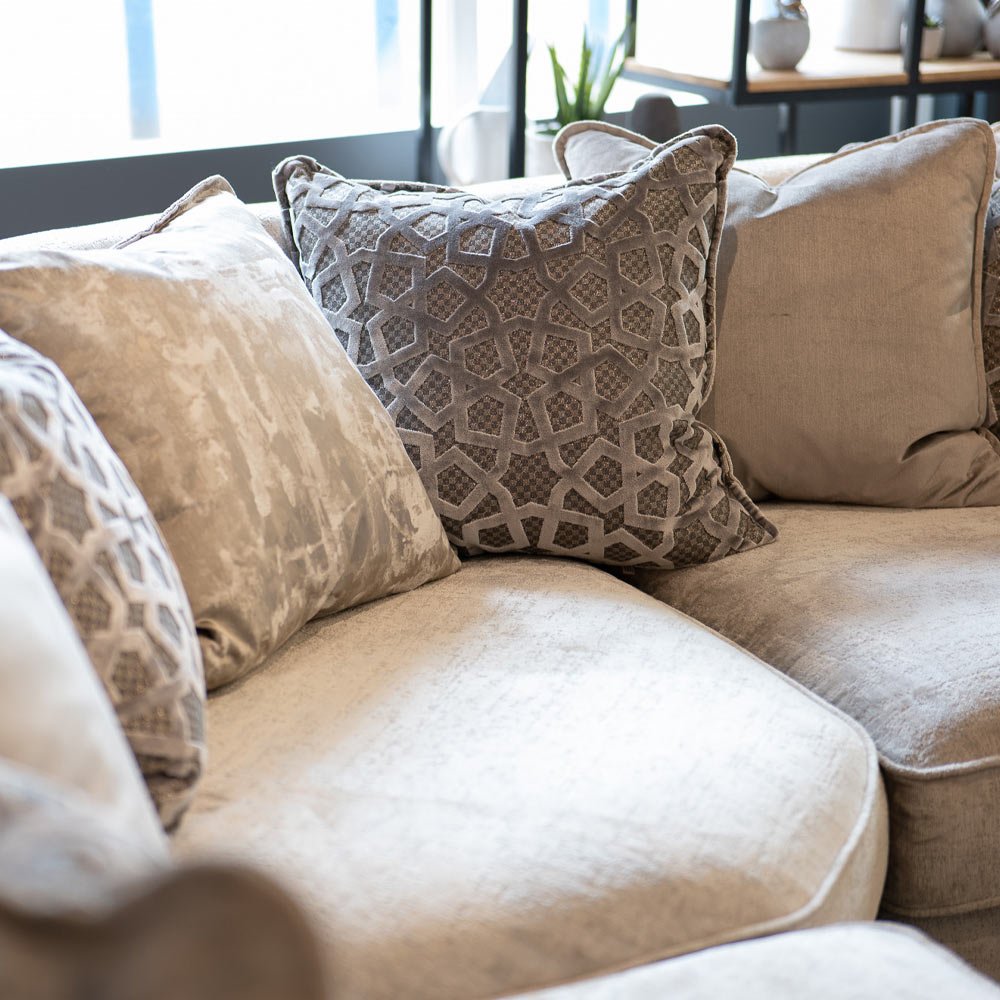 Venton Close Up Scatter