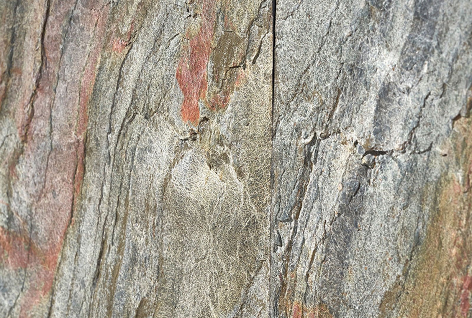 Pacific Lifestyle Vortice - 2 Door Bar Cabinet