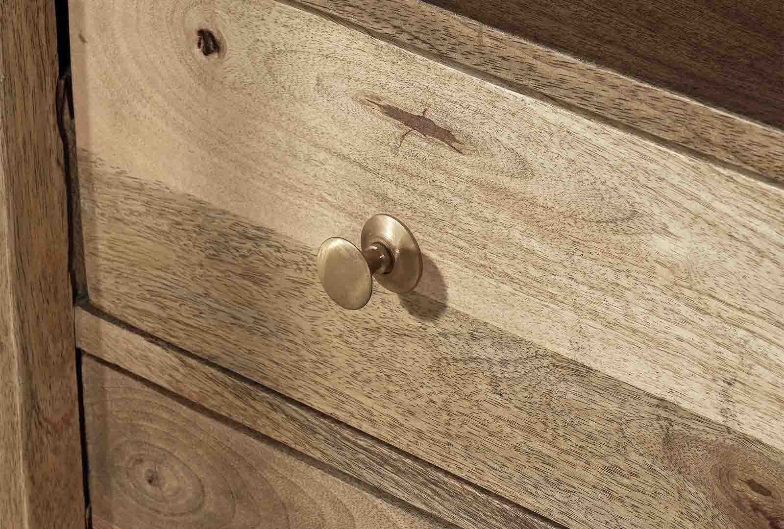 Indus Valley Inspiration - 2 Door Glass Cabinet