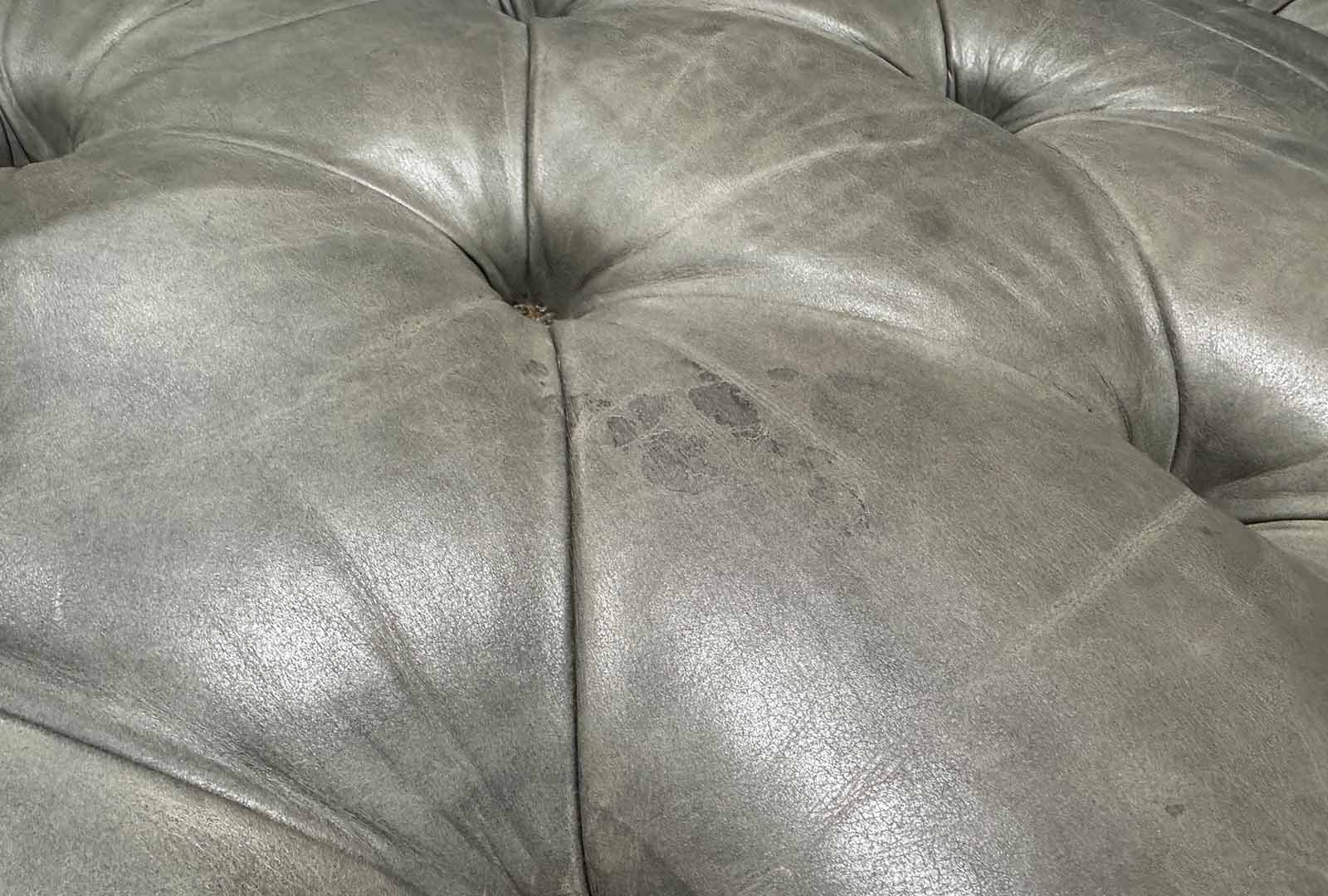 Clearance Otto snuggler