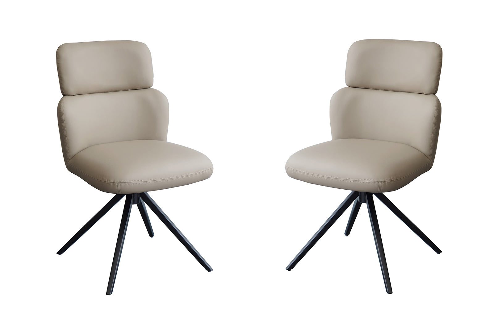 Indus Valley Skelton - Dining Chair