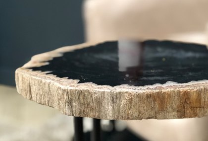 Cala Petrified Wood Staccato Table