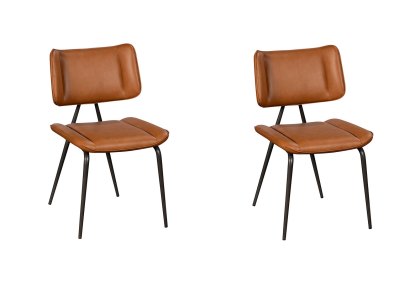 Joel Dining Chair (Set of 2)