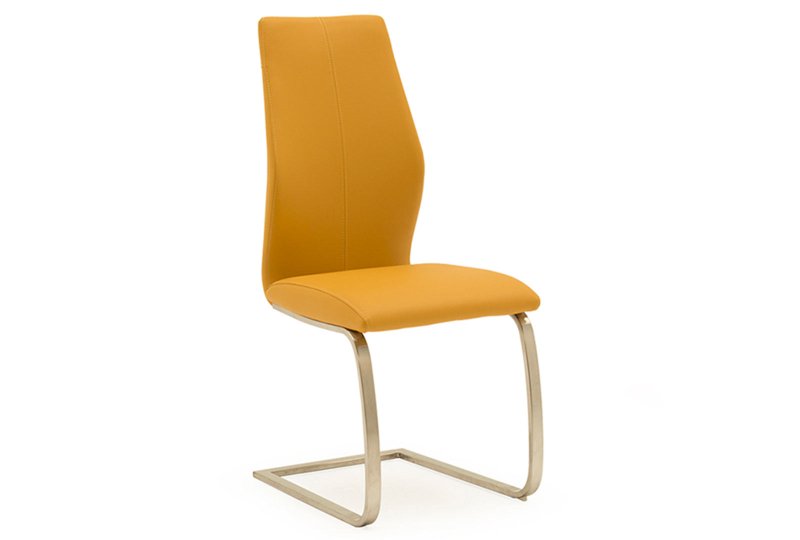 Irys Dining Chair - Pumpkin