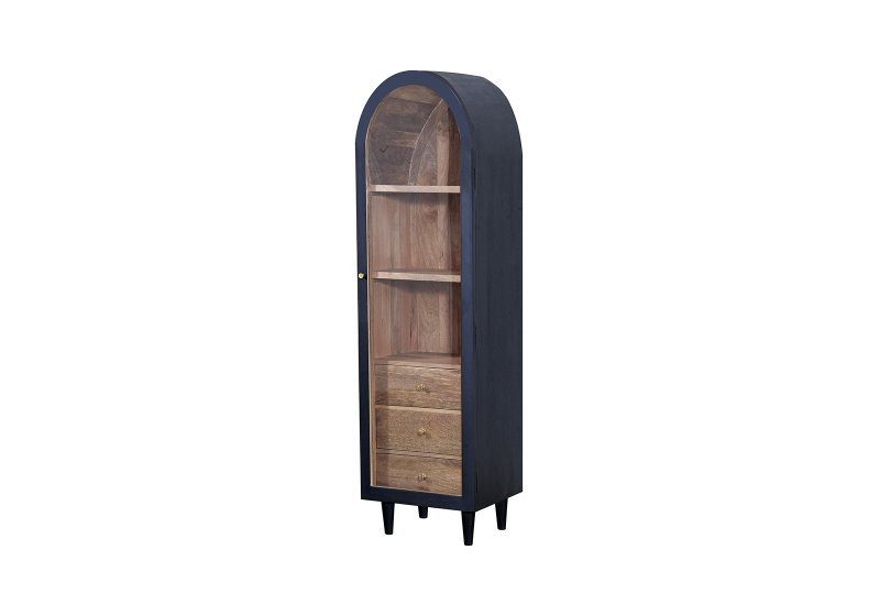 Indus Valley Inspiration Single Door Glass Cabinet