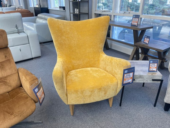 Clearance Eliza Wing Chair