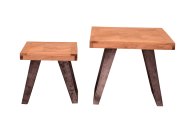 Argan Nest Of Two Tables