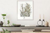 Holly Fern