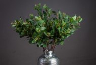 Summer Seeded Eucalyptus