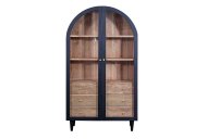 Indus Valley Inspiration 2 Door Glass Cabinet