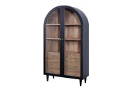 Indus Valley Inspiration 2 Door Glass Cabinet