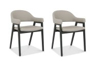 Bentley Designs (UK) Ltd Canyon Carver Dining Chair (Set of 2)