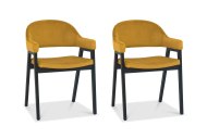 Bentley Designs (UK) Ltd Canyon Carver Dining Chair (Set of 2)