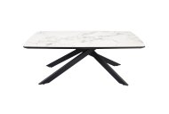 Indus Valley Lindell Coffee Table