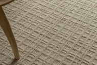 Asiatic Thatch - Contemporary Rug