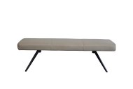 Indus Valley Skelton - Low Bench