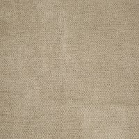 Band A - Kingston Mushroom