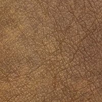 Leather Band 2 - Napoli Tan