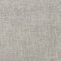 Grade C - Zelda Oyster