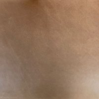 LEATHER CAT 55 DAMASCO: T500