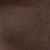 Leather CAT S10 - Flash 1034