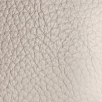 Leather CAT S10 - France 10612