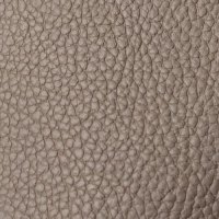 Leather CAT S10 - France 10629