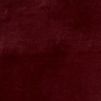 Band C - Festival Burgundy