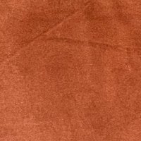 Band C - Festival Marmalade