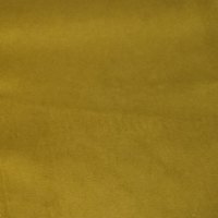 Band C - Festival Olive