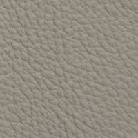 CAT C - LEATHER PRESTIGE 409 GREY