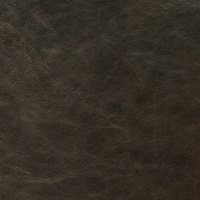 Leather (Full) - Voyager 1759 Cannon