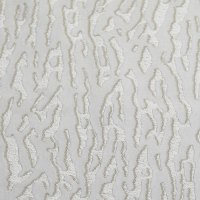 Grade PATTERN - Tacoma Oyster