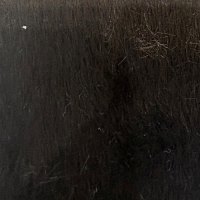 Band Deluxe - Lynx Cocoa