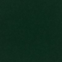 Band 1 - Easy Clean Plush Velvet Hunter