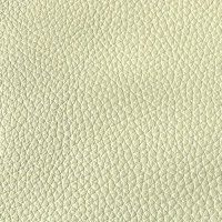 LEATHER CAT 50 LENTUS: 7512