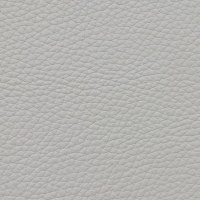 LEATHER CAT 50 LENTUS: 7521