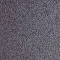 LEATHER CAT 50 LENTUS: 7528