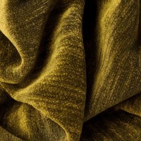 Band C - Maison Acid Green